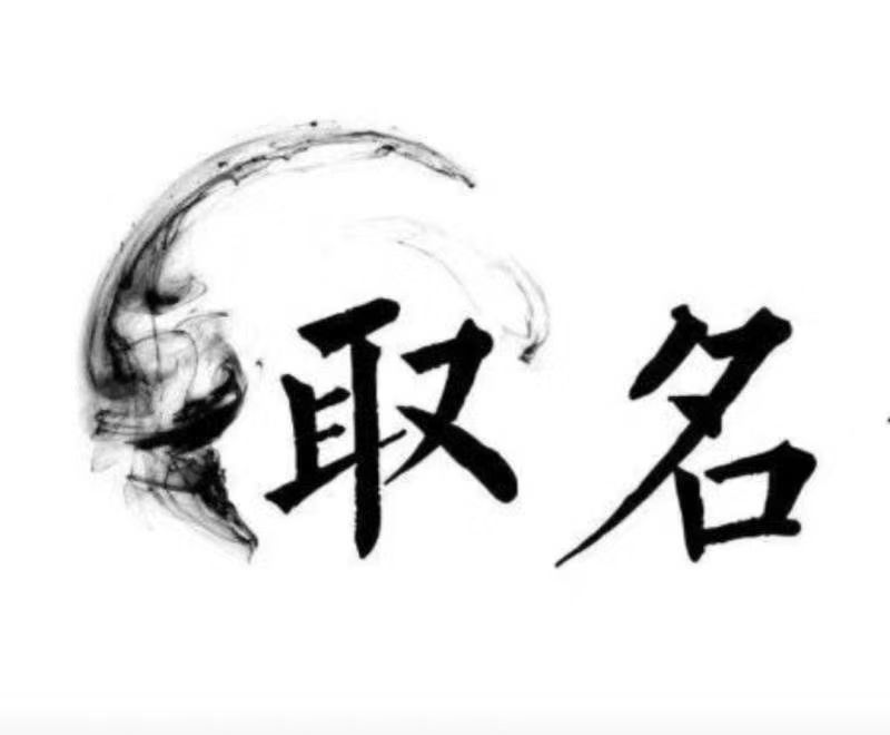  宁强宝宝取名 大师一对一人工起名